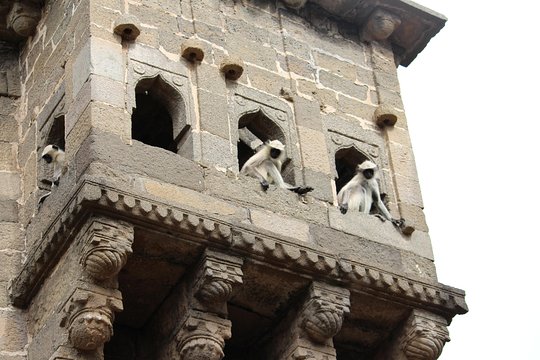 Tour image 7